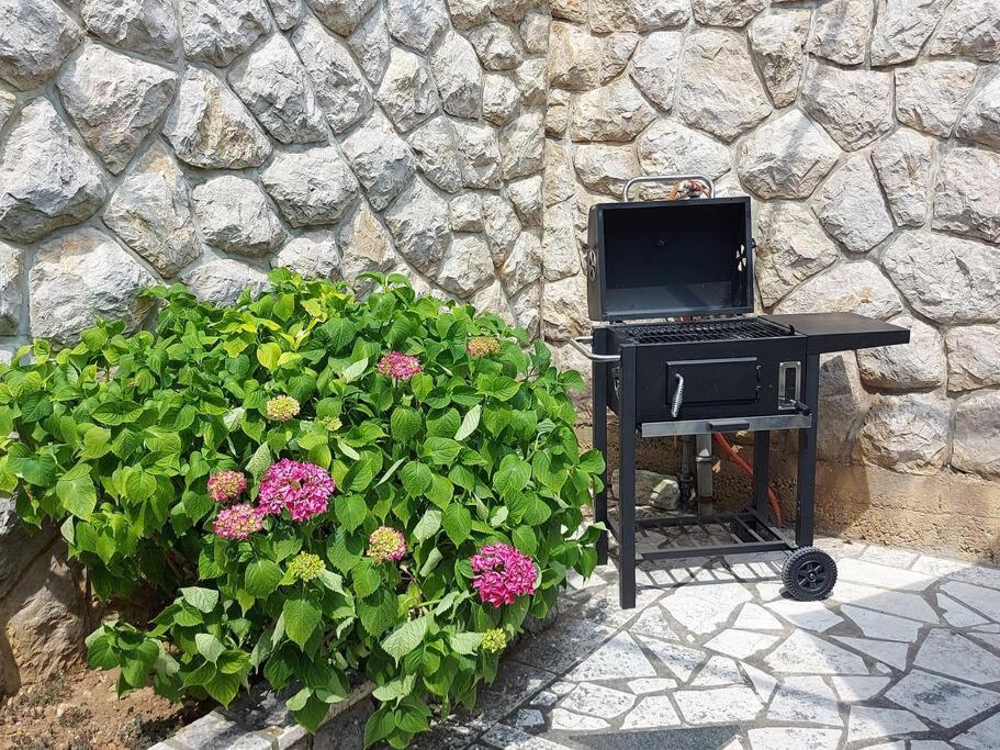 Apartment Mediterranean Garden Rijeka Exterior photo